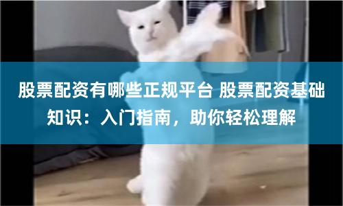 股票配資有哪些正規平臺 股票配資基礎知識：入門指南，助你輕松理解